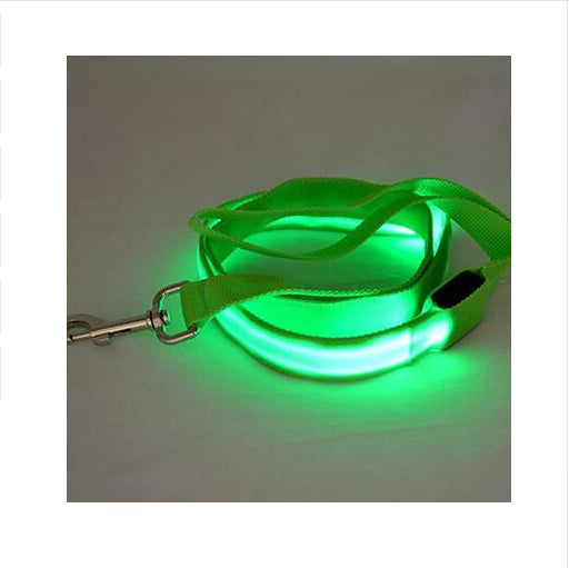 Illuminate Your Dog Walks with Our LED Illuminated Traction Nylon Pet Leash
